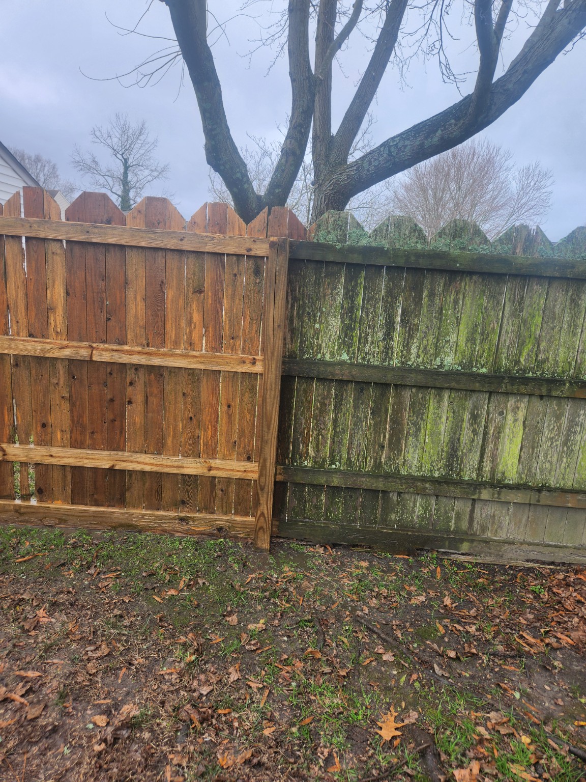Fence cleaning before and after